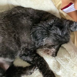 Meet your Posher, Christine